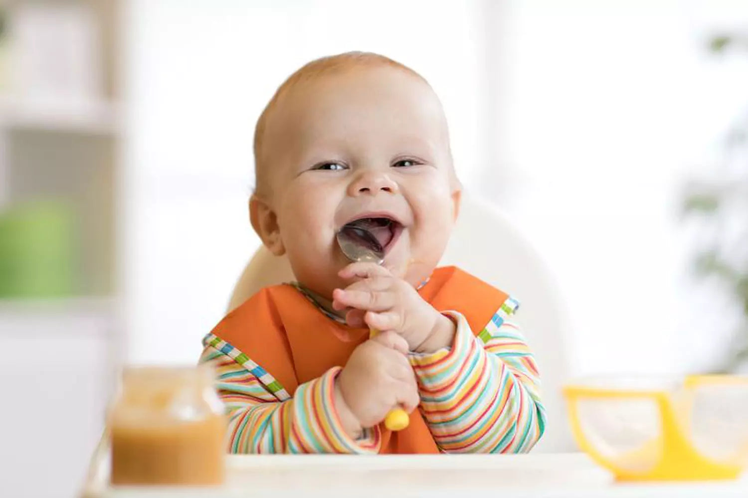 Les meilleurs aliments Bio